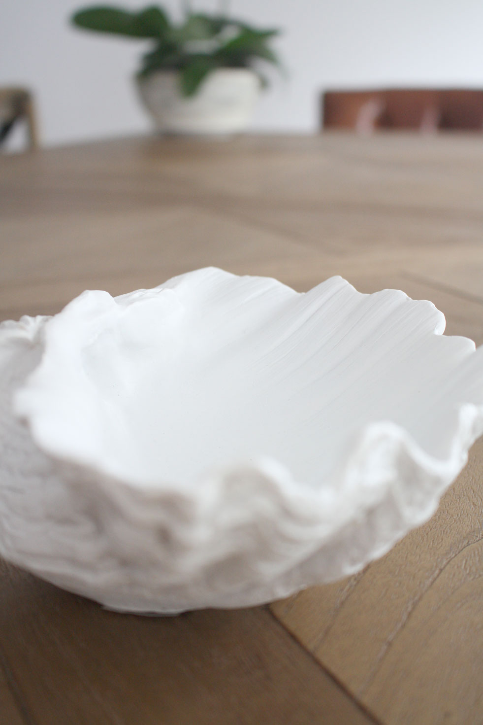 Clam Shell White XSmall 24cm Wide - Resin