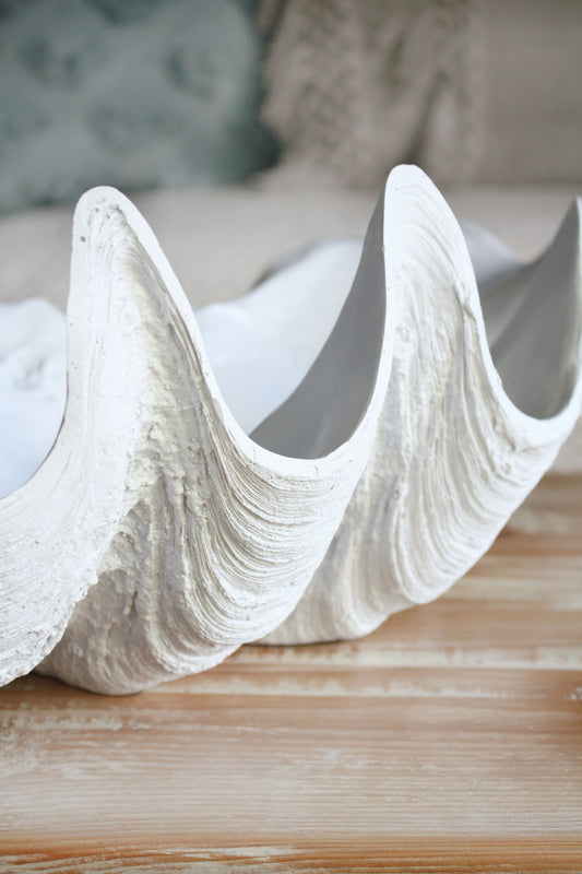Clam Shell White Large 58cm Wide - Resin