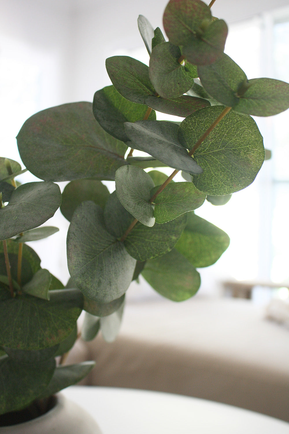 Faux Silver Dollar Eucalyptus Leaf Spray 87cm