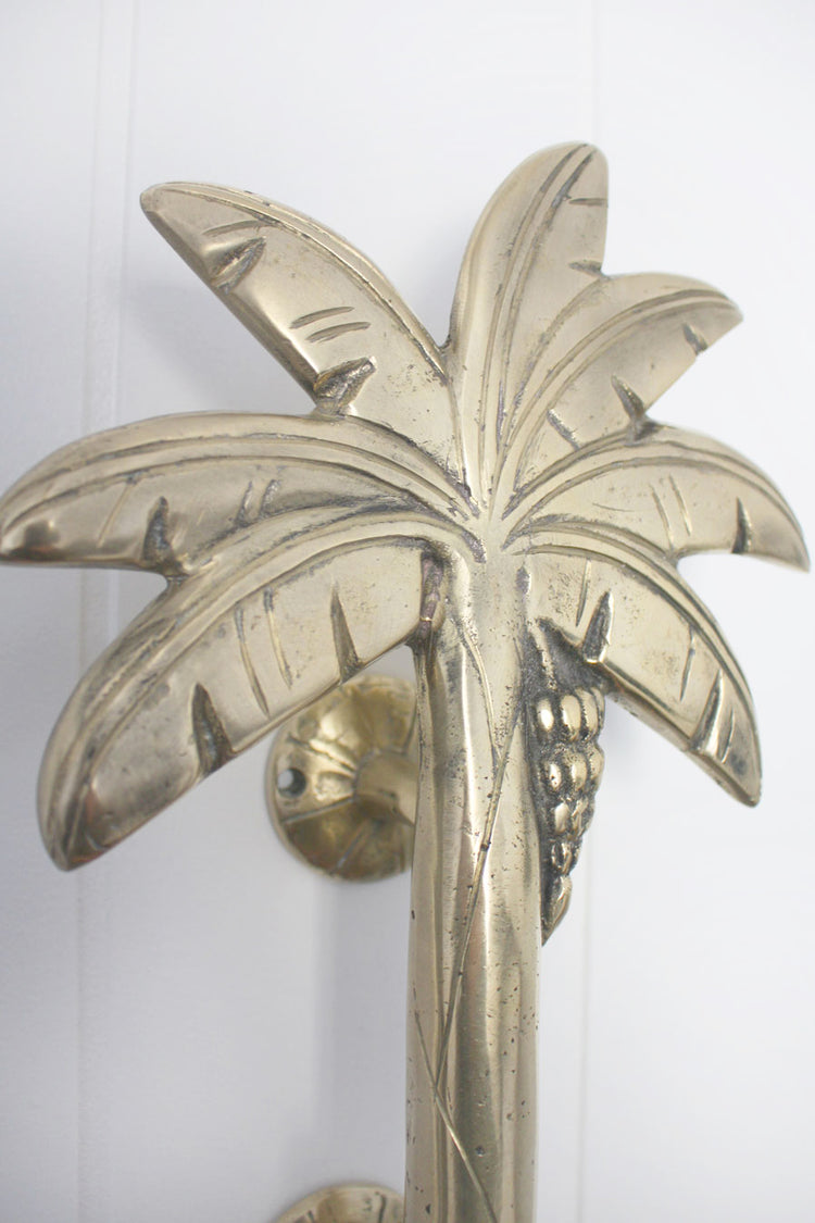 Brass Banana Palm Door Handle