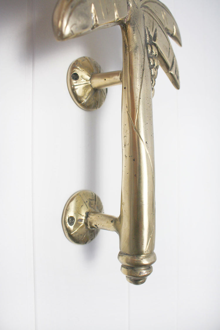 Brass Banana Palm Door Handle