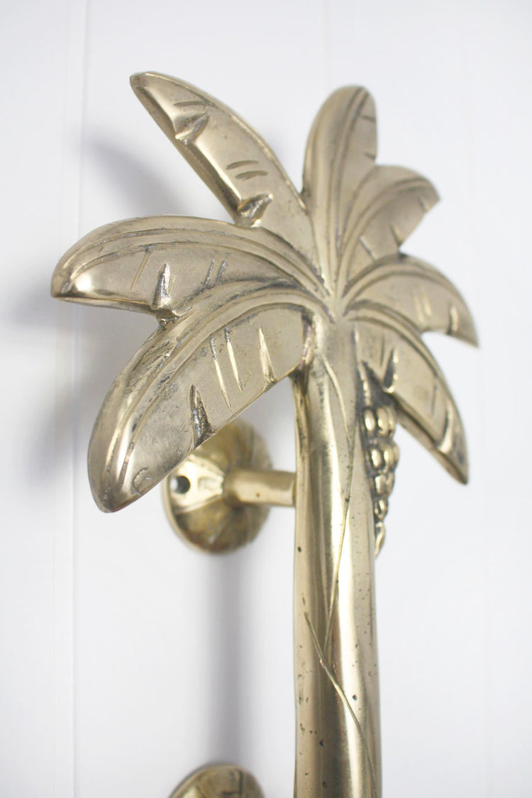 Brass Banana Palm Door Handle