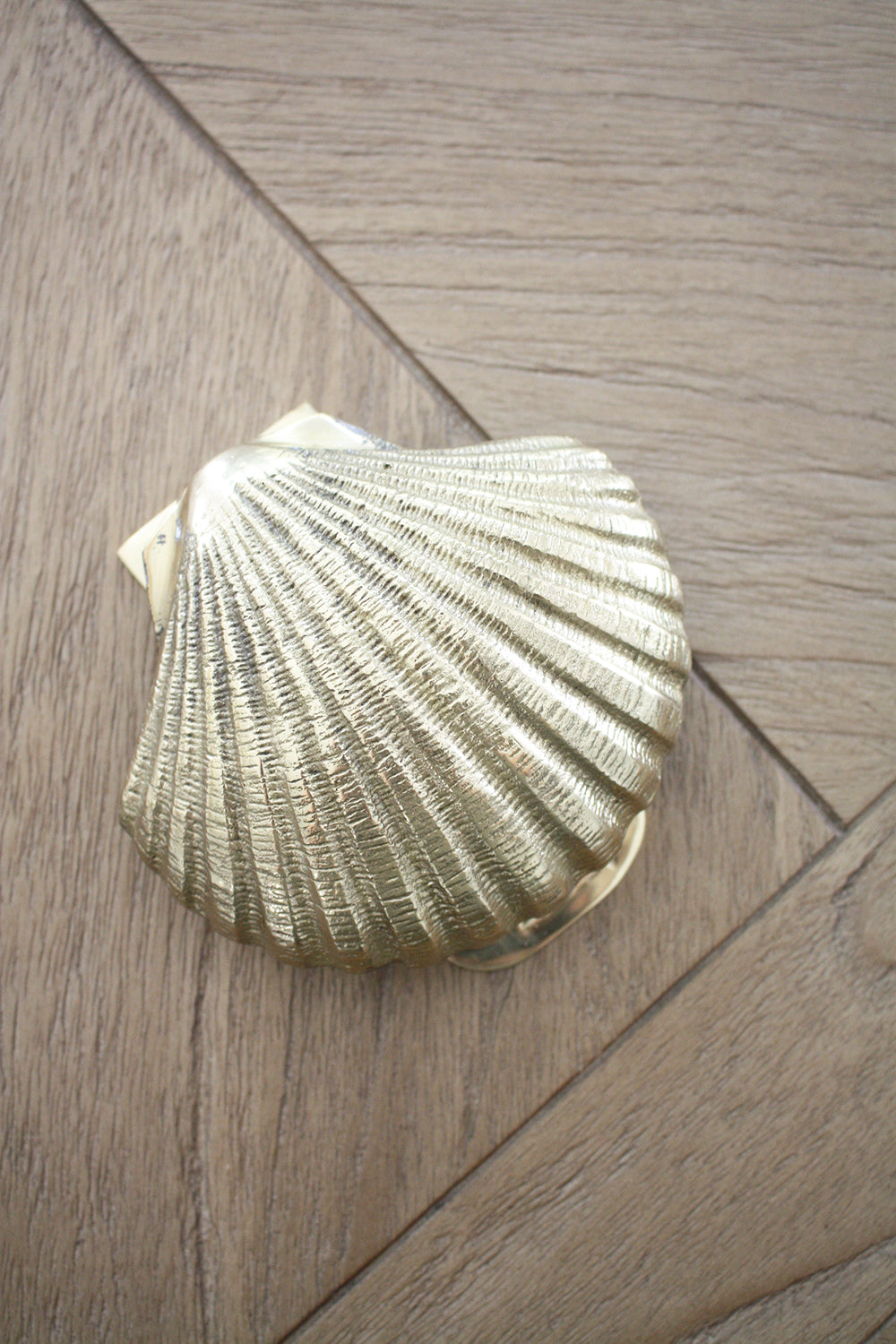 Brass Petite Scallop Shell Door Knocker