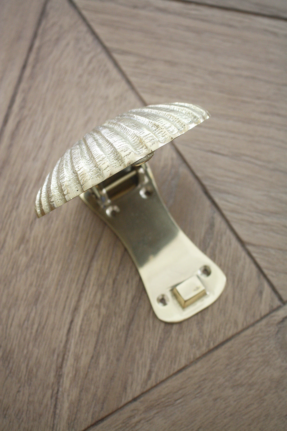 Brass Petite Scallop Shell Door Knocker