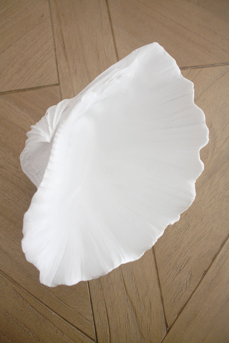 Clam Shell White XSmall 24cm Wide - Resin