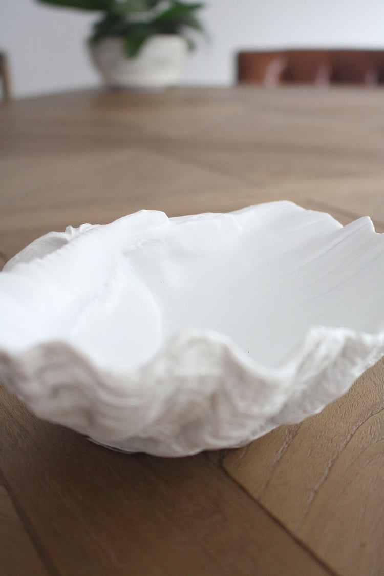 Clam Shell White XSmall 24cm Wide - Resin