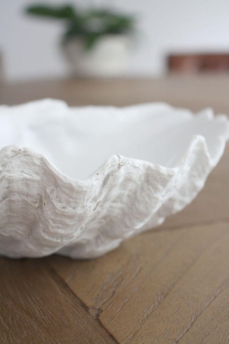 Clam Shell White XSmall 24cm Wide - Resin