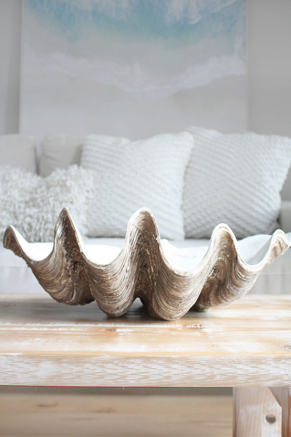 Clam Shell Natural Medium 52cm Wide - Resin