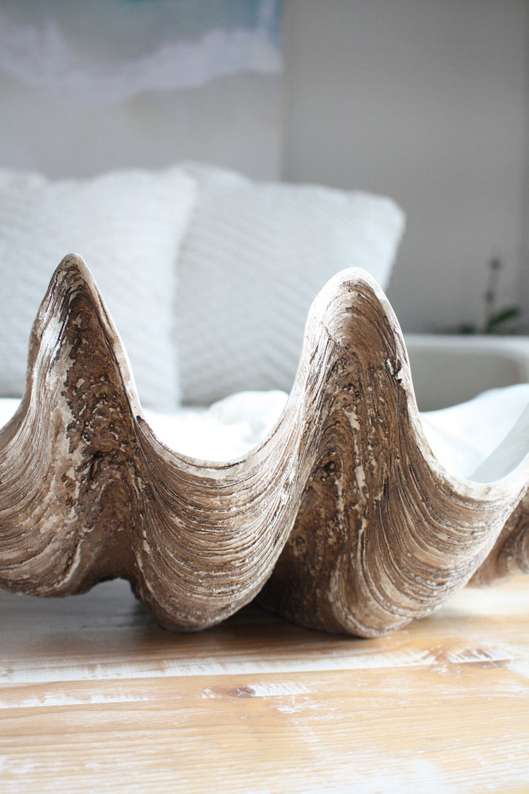 Clam Shell Natural Medium 52cm Wide - Resin