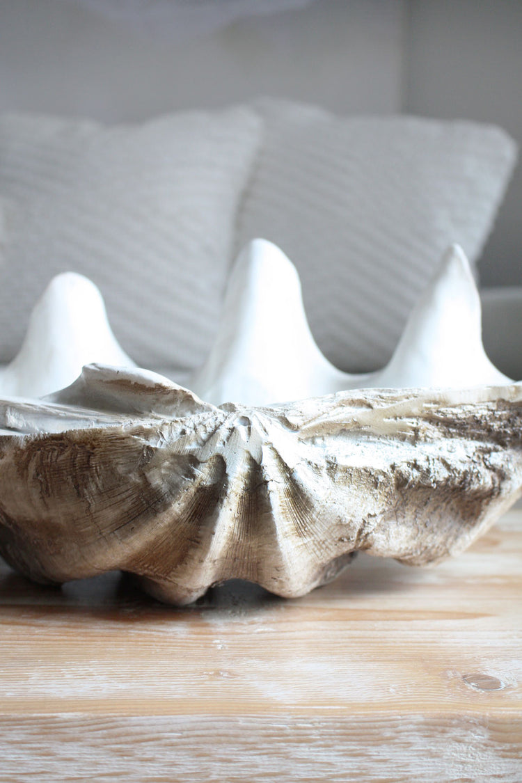 Clam Shell Natural Medium 52cm Wide - Resin