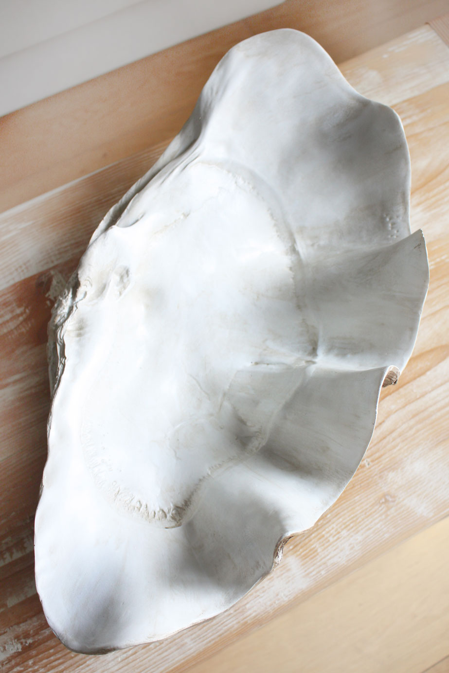 Clam Shell Natural Medium 52cm Wide - Resin