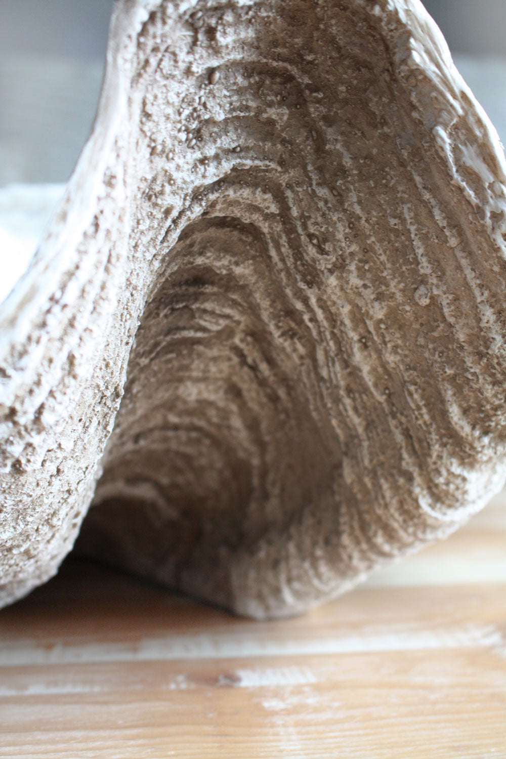 Clam Shell Natural XLarge 69cm Wide - Resin