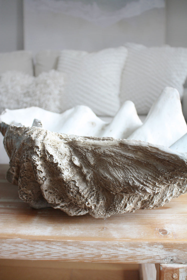 Clam Shell Natural Jumbo 79cm Wide - Resin