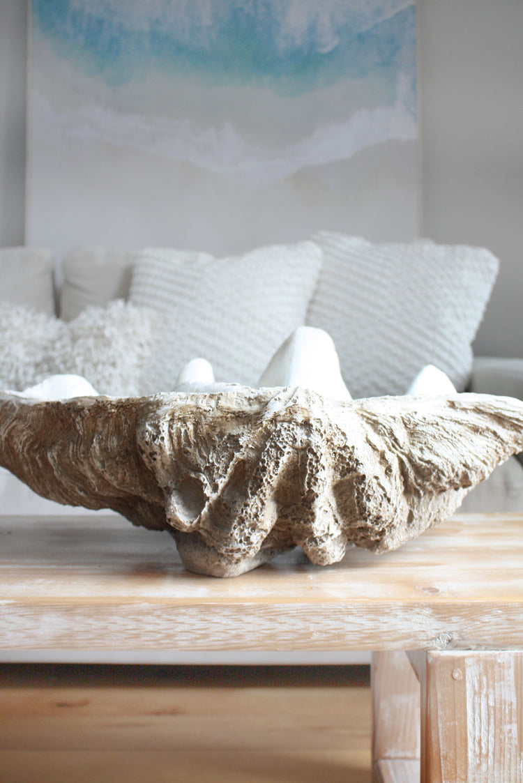 Clam Shell Natural XLarge 69cm Wide - Resin