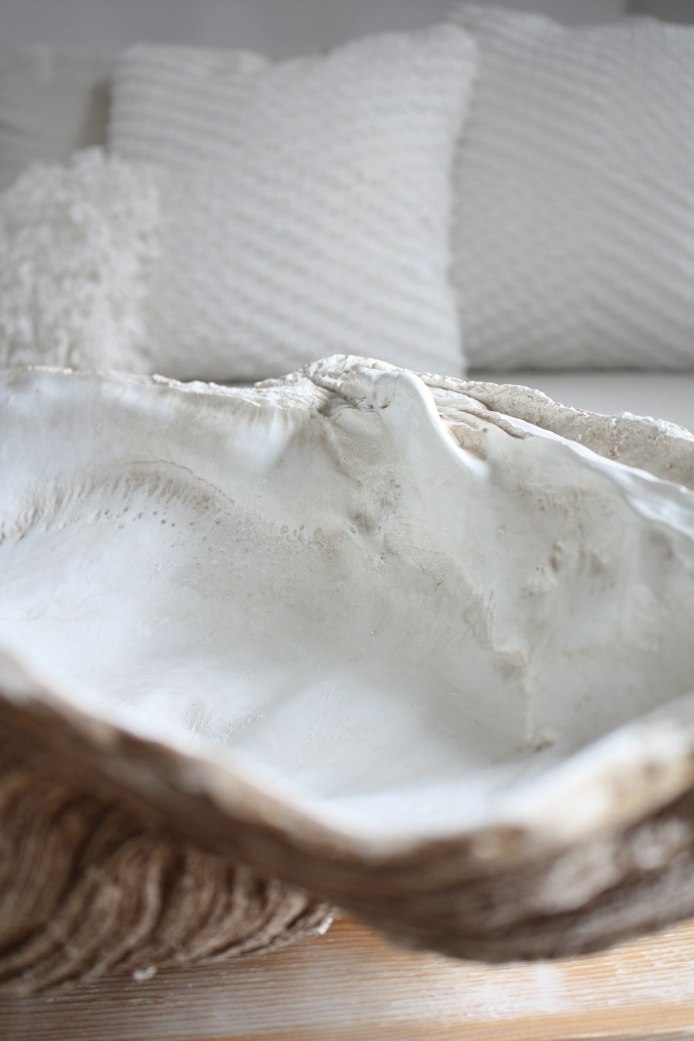 Clam Shell Natural XLarge 69cm Wide - Resin