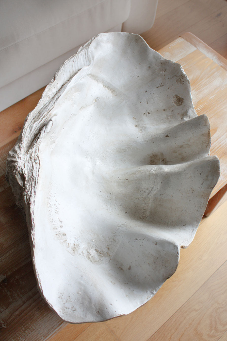 Clam Shell Natural XLarge 69cm Wide - Resin