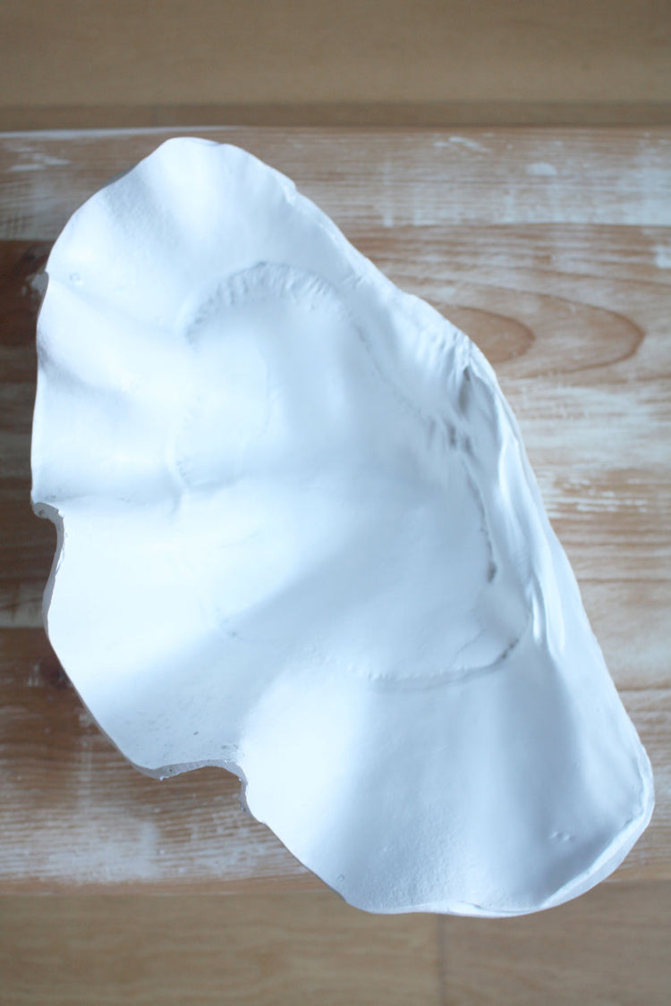 Clam Shell White Small 40cm Wide - Resin