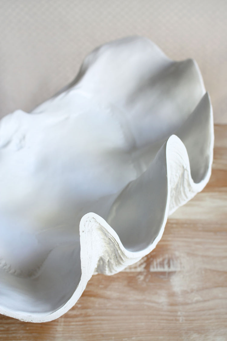 Clam Shell White Medium 52cm Wide - Resin