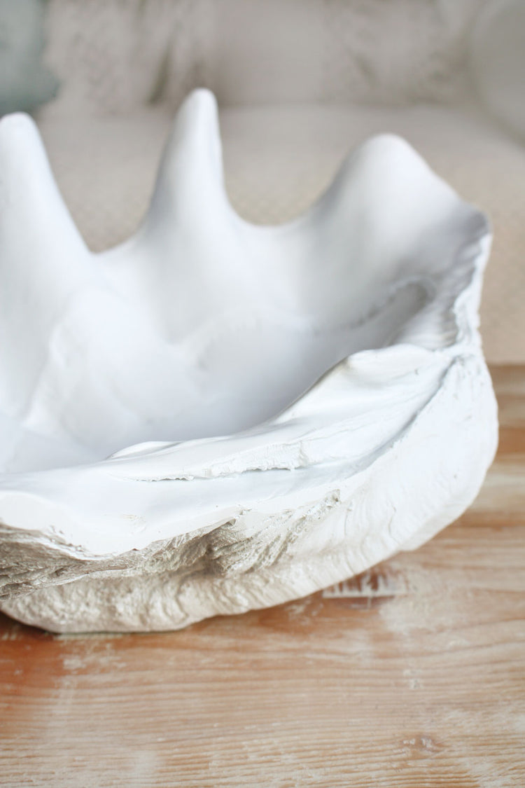 Clam Shell White Medium 52cm Wide - Resin