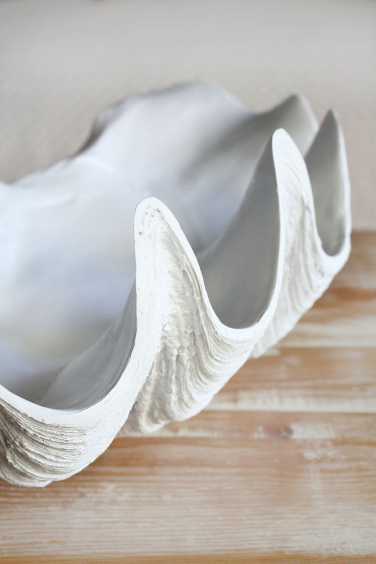 Clam Shell White Medium 52cm Wide - Resin