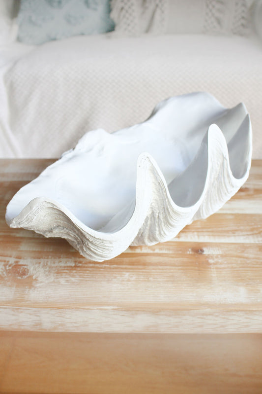 Clam Shell White Medium 52cm Wide - Resin
