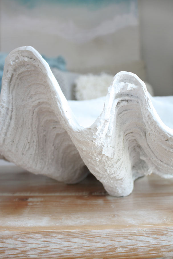 Clam Shell White XLarge 69cm Wide - Resin