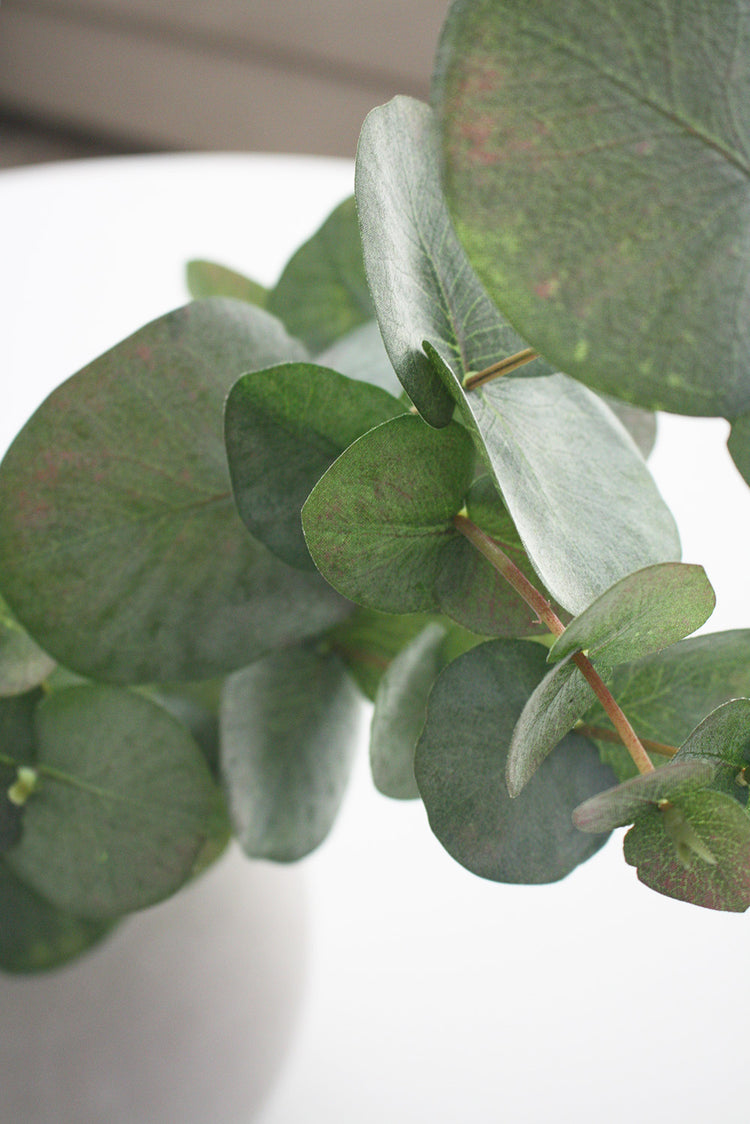 Faux Silver Dollar Eucalyptus Leaf Spray 87cm