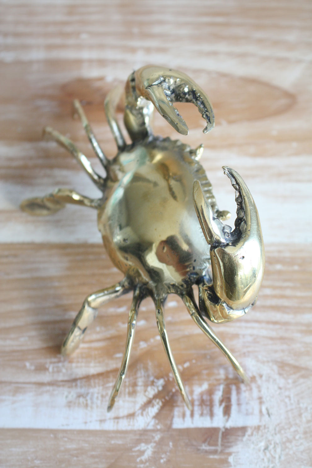 Brass Crab - Medium