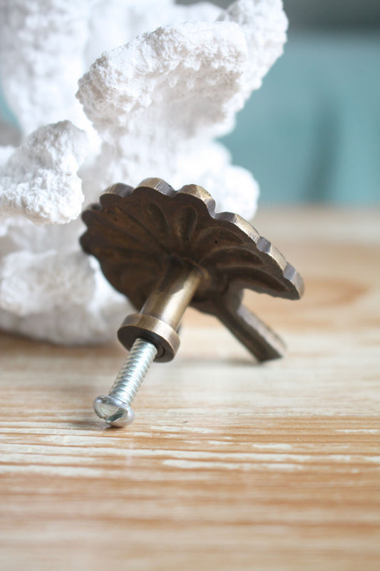 Brass Travellers Palm Cabinet Pull / Knob