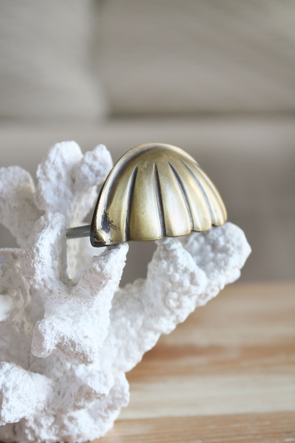 Brass Hamptons Shell Cabinet Pull / Handle