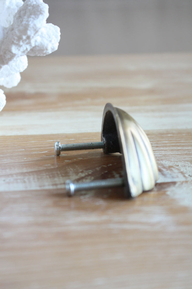 Brass Hamptons Shell Cabinet Pull / Handle