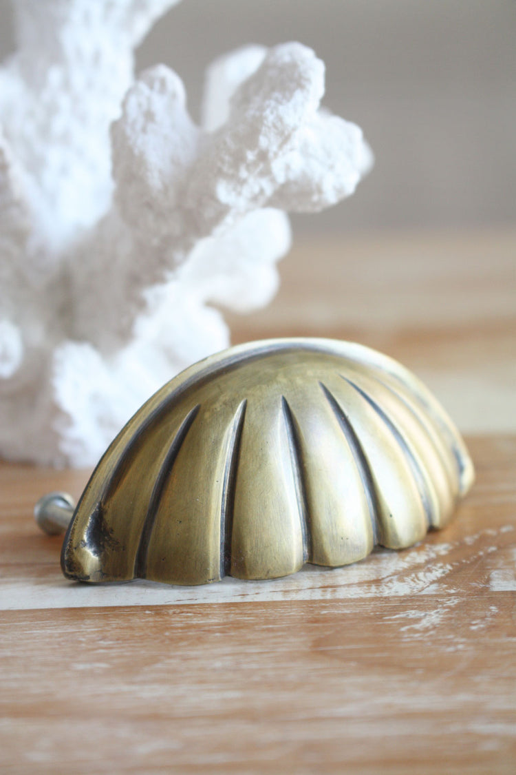 Brass Hamptons Shell Cabinet Pull / Handle