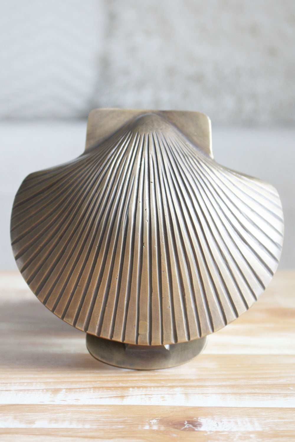 Brass Scallop Shell Door Knocker - Antiqued